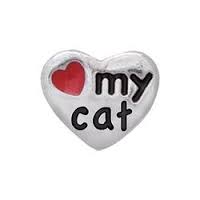 CH1005 Silver Love My Cat Heart Charm
