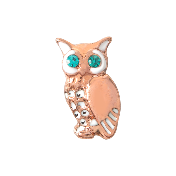 CH1097 Rose Gold Owl with Crystal Blue Eyes Charm