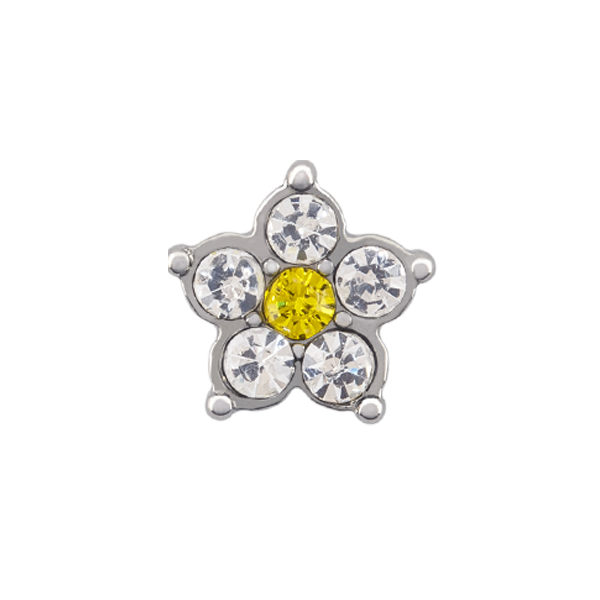 CH3308 Retired Crystal Daisy Charm with 5 clear crystals, and yellow crystal center