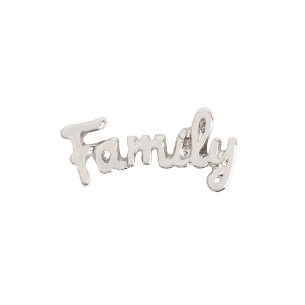 CH3456 Silver "Family" Charm - New 2020