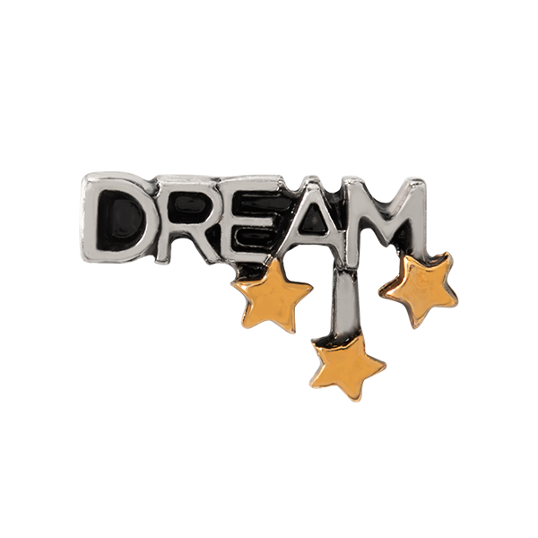 CH4053 "DREAM" Charm in Silver and Gold Stars