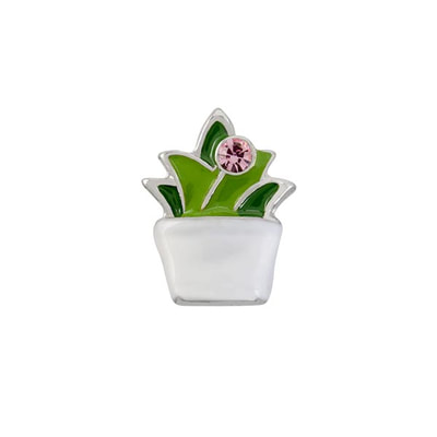 CH4137 Retired Succulent Charm