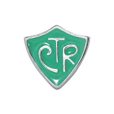 CH5014 Retired CTR Choose The Right Green Symbol Charm