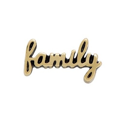 CH6056 Retired Gold "Family" Script Charm